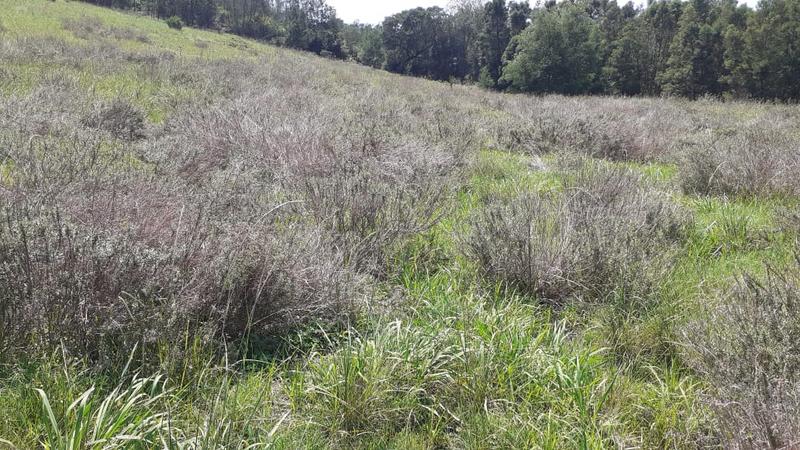 0 Bedroom Property for Sale in Albertinia Western Cape